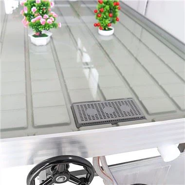 Meinciau Rholio Tŷ Gwydr ar gyfer Tyfu